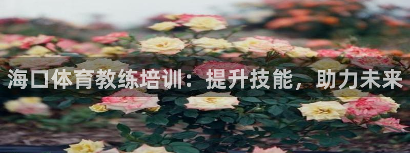 极悦平台使用注意事项是什么：海口体育教练培训：提升技