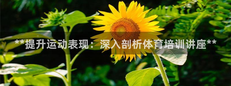极悦平台平台注册方法与步骤图：**提升运动表现：深入