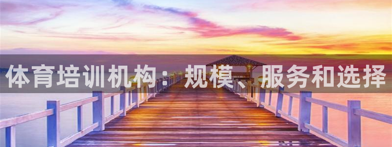 极悦平台官网入口下载：体育培训机构：规模、服务和选择