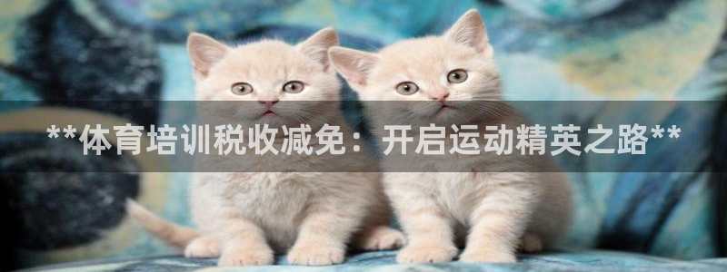 极悦平台使用教程视频：**体育培训税收减免：开启运动