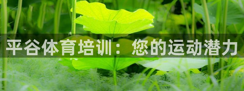 极悦平台登录7.0.2.4手机版下载安卓：平谷体育培