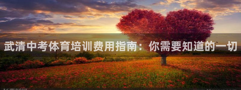 极悦平台登录方式有哪些：武清中考体育培训费用指南：你