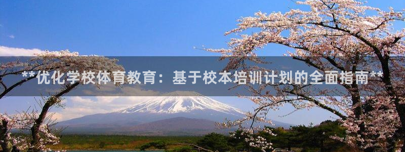 极悦官网旗舰店：**优化学校体育教育：基于校本培训计