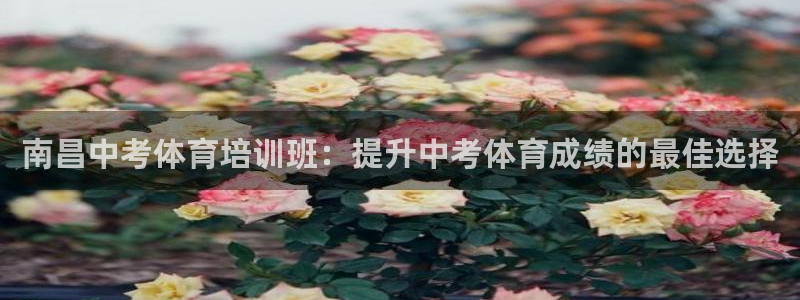 极悦平台与网易合作详情：南昌中考体育培训班：提升中考