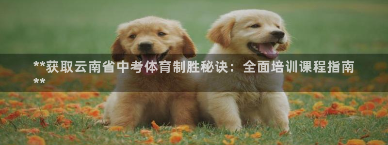 极悦平台注册官方网站下载：**获取云南省中考体育制胜