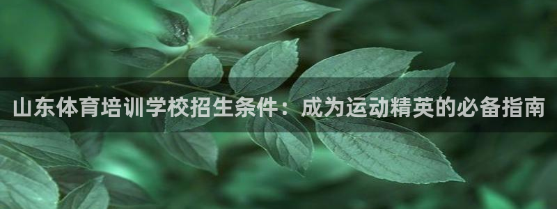 极悦平台注册登录：山东体育培训学校招生条件：成为运动