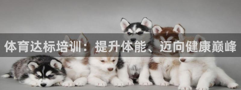 极悦平台客服投诉电话是多少号：体育达标培训：提升体能