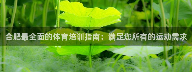 极悦娱乐最新版本更新内容分享：合肥最全面的体育培训指