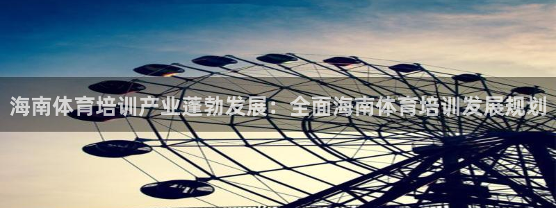 极悦平台有风险吗现在：海南体育培训产业蓬勃发展：全面