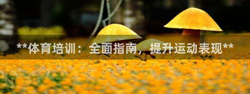 极悦娱乐官网入口网站：**体育培训：全面指南，提升运