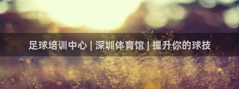 极悦是什么牌子空调：足球培训中心 | 深圳体育馆 |