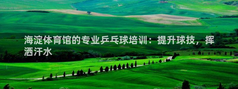 极悦官方网站入口网址是什么：海淀体育馆的专业乒乓球培