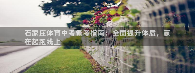 极悦官方网站入口网址大全：石家庄体育中考备考指南：全