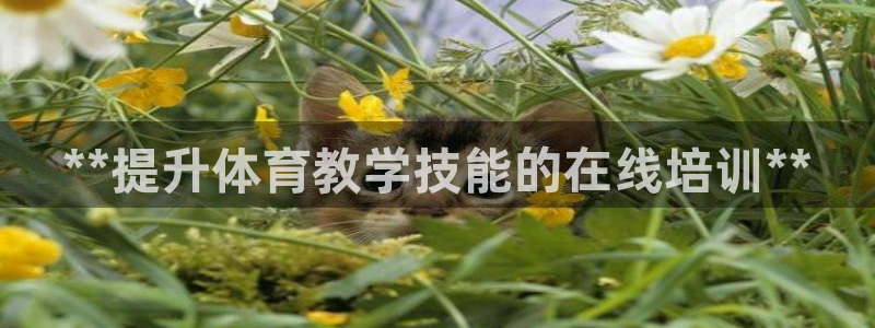 极悦平台很7O777：**提升体育教学技能的在线培训