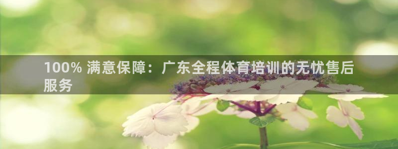 极悦平台注册登录不上：100% 满意保障：广东全程体