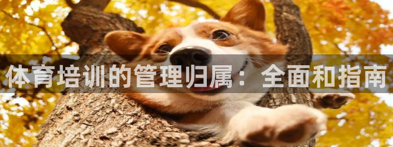 极悦平台家7O777：体育培训的管理归属：全面和指南