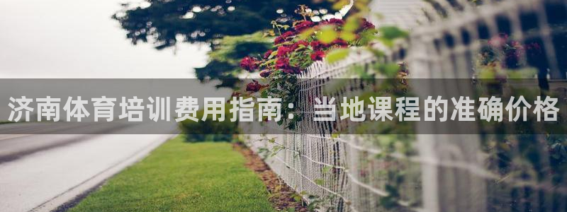 极悦生活家是什么平台的软件：济南体育培训费用指南：当