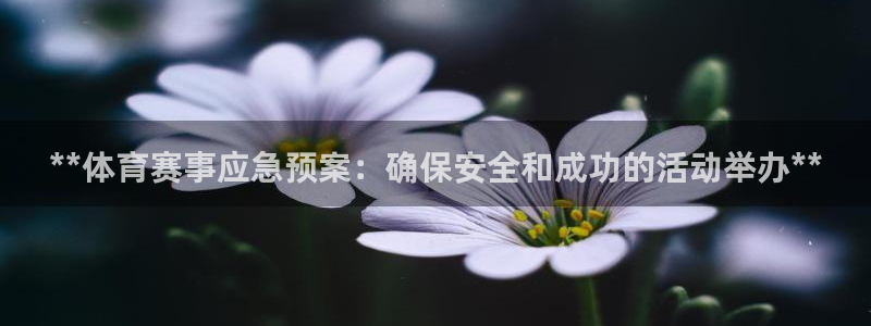 极悦平台官网入口网站：**体育赛事应急预案：确保安全