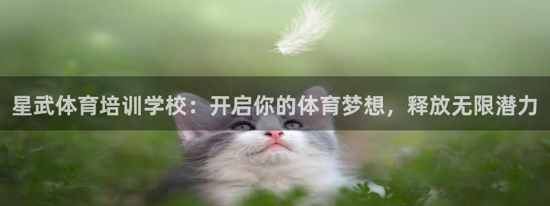 极悦牙膏怎么样好用吗：星武体育培训学校：开启你的体育