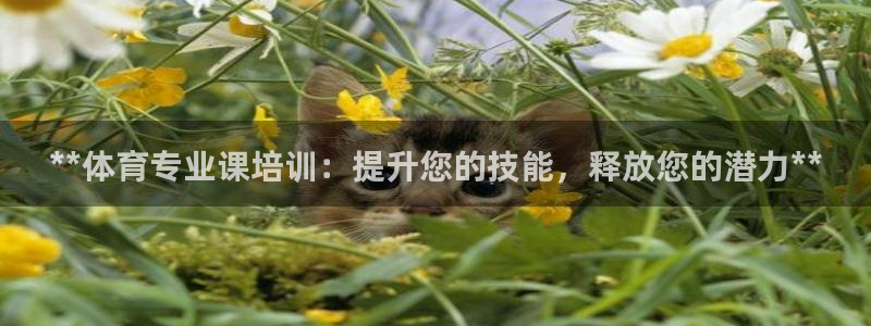 极悦平台是什么：**体育专业课培训：提升您的技能，释