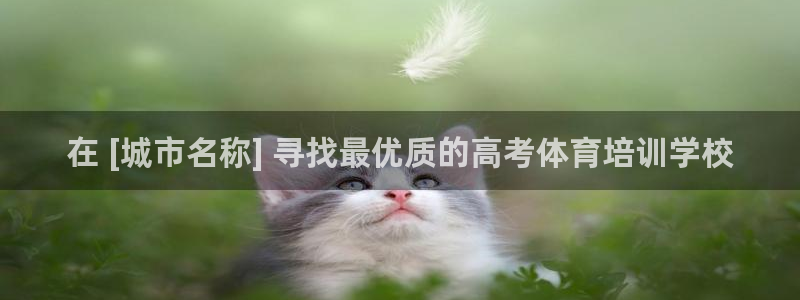 极悦平台是正规平台吗知乎：在 [城市名称] 寻找最优