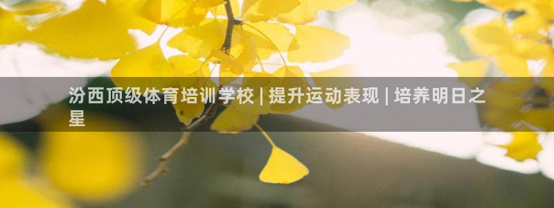 极悦平台股东是谁：汾西顶级体育培训学校 | 提升运动
