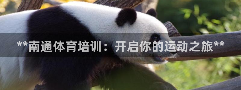 极悦平台使用教程视频：**南通体育培训：开启你的运动