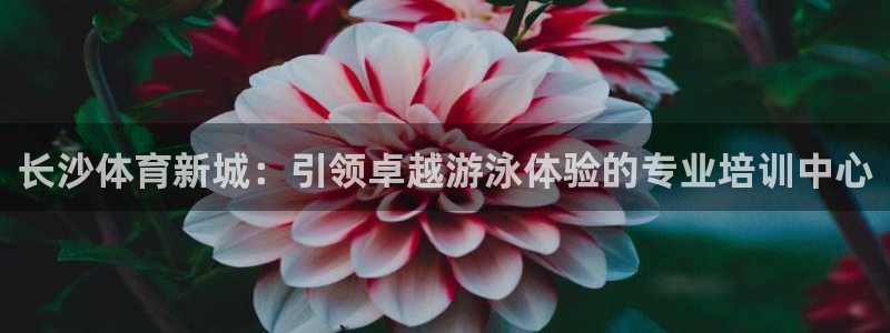 极悦官网的登录方法是什么：长沙体育新城：引领卓越游泳