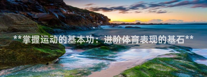 极悦平台使用教程：**掌握运动的基本功：进阶体育表现