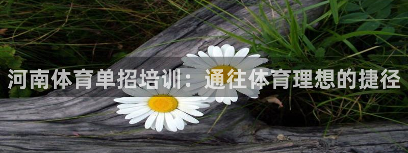 极悦娱乐公司最新招聘信息电话：河南体育单招培训：通往