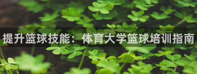 极悦益生菌猫粮怎么样：提升篮球技能：体育大学篮球培训
