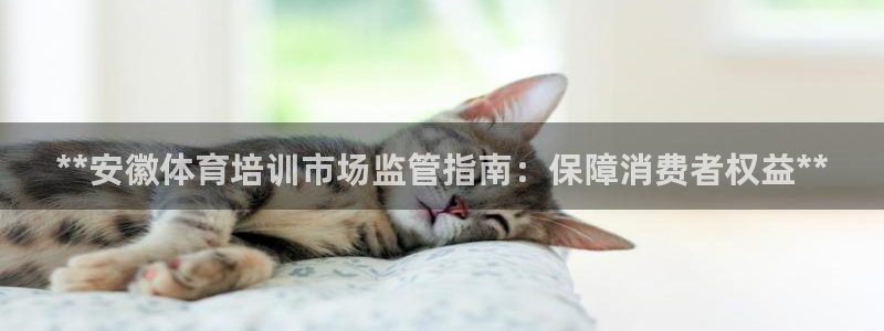极悦娱乐代理多少钱一年：**安徽体育培训市场监管指南