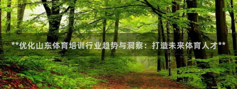 舒客极悦牙膏：**优化山东体育培训行业趋势与洞察：打