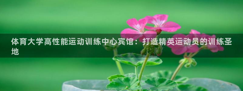 极悦平台是正规平台吗是真的吗：体育大学高性能运动训练
