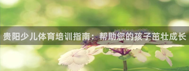 极悦平台平台注册方法与步骤图：贵阳少儿体育培训指南：
