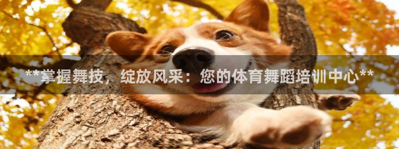 极悦平台和蓝狮平台区别：**掌握舞技，绽放风采：您的
