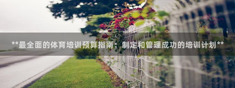 极悦娱乐代理人是谁呀：**最全面的体育培训预算指南：