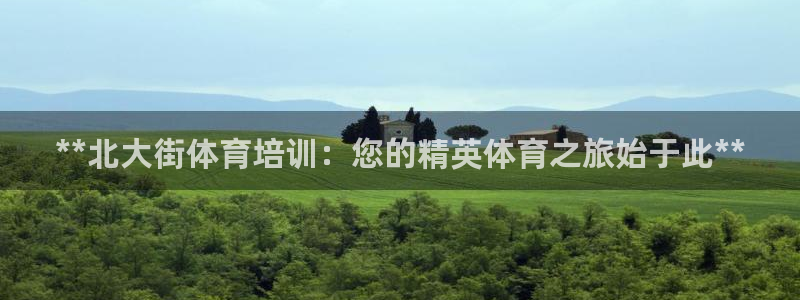 极悦娱乐官方网站首页：**北大街体育培训：您的精英体