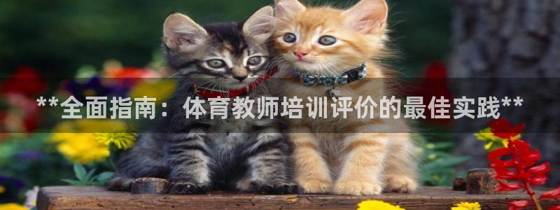 极悦平台股东名单：**全面指南：体育教师培训评价的最