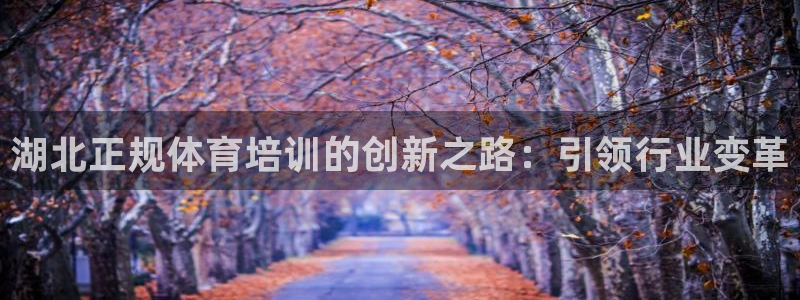 极悦官网旗舰店是正品吗：湖北正规体育培训的创新之路：