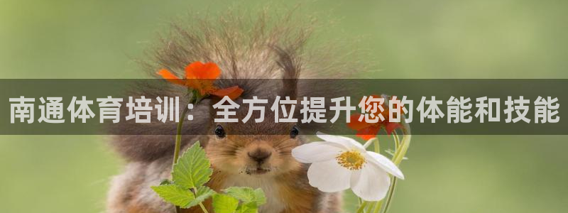 极悦娱乐管理最建议买吗：南通体育培训：全方位提升您的