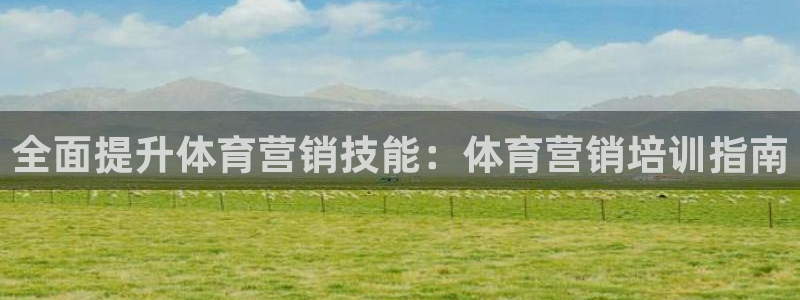 极悦平台官网登录：全面提升体育营销技能：体育营销培训