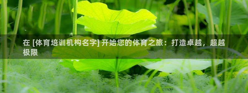 极悦娱乐app官方版本更新内容是什么：在 [体育培训