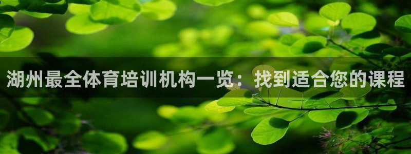 极悦平台官网入口登录：湖州最全体育培训机构一览：找到