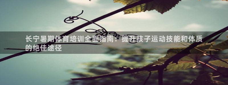 极悦娱乐下载官网：长宁暑期体育培训全面指南：提升孩子