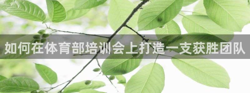 极悦官网的登录方法：如何在体育部培训会上打造一支获胜
