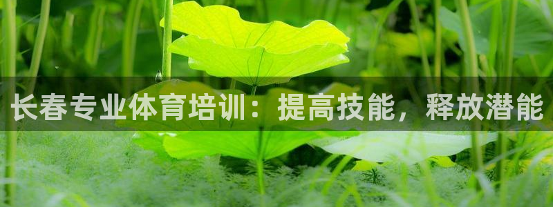 加盟极悦教育：长春专业体育培训：提高技能，释放潜能