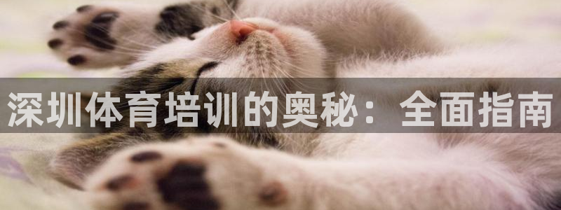 极悦娱乐官网下载app：深圳体育培训的奥秘：全面指南