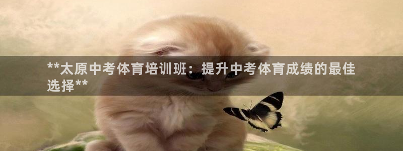 极悦娱乐代理人是谁：**太原中考体育培训班：提升中考