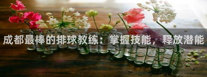 极悦平台用户评价与反馈：成都最棒的排球教练：掌握技能